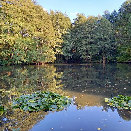 Ferienwohnung Am Waldsee Mit Schwimmbad Gernsbach Exteriör bild