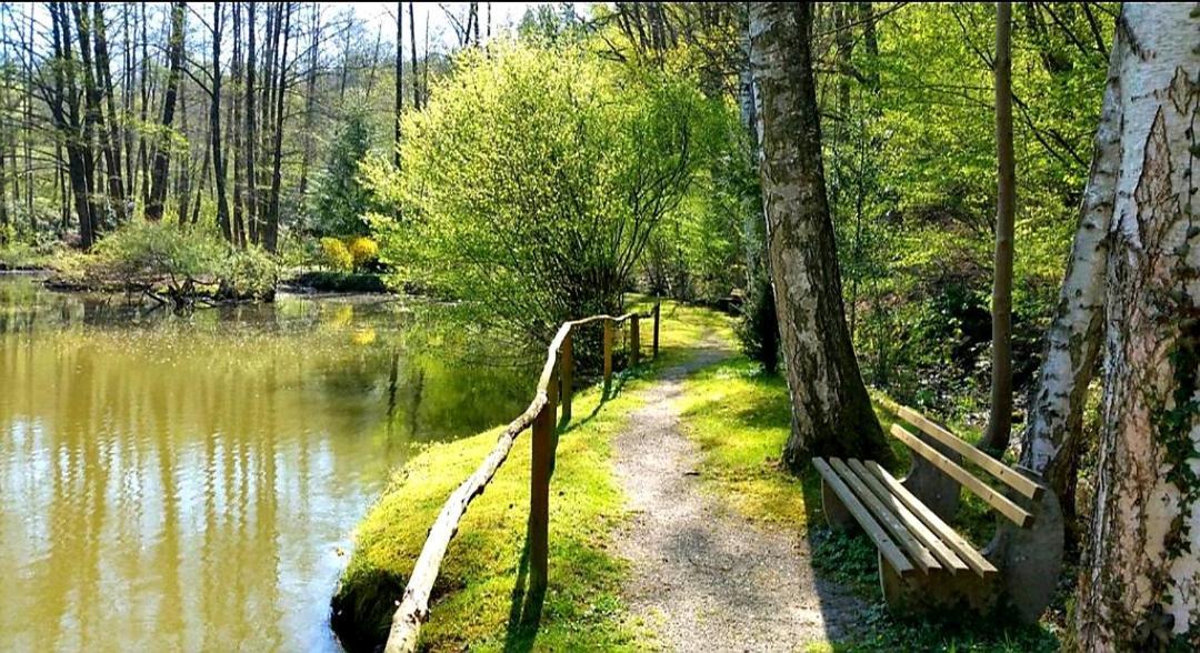 Ferienwohnung Am Waldsee Mit Schwimmbad Gernsbach Exteriör bild