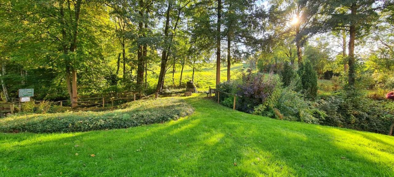 Ferienwohnung Am Waldsee Mit Schwimmbad Gernsbach Exteriör bild