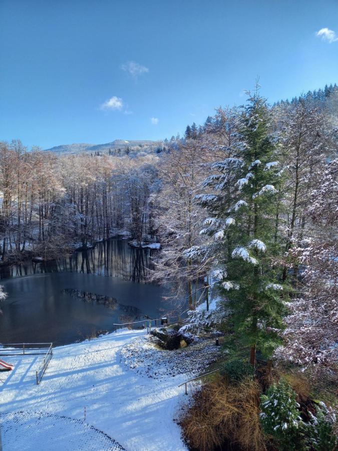 Ferienwohnung Am Waldsee Mit Schwimmbad Gernsbach Exteriör bild